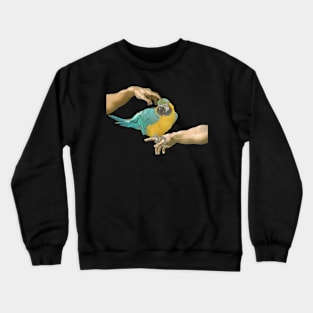 scritching a yellow macaw Crewneck Sweatshirt